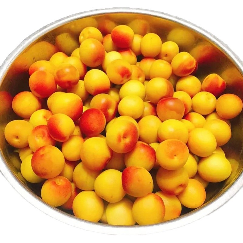 (新鲜黄梅)诏安高山完熟黄梅果 新鲜青梅果 泡酒酵素黄梅酱专用 孕妇