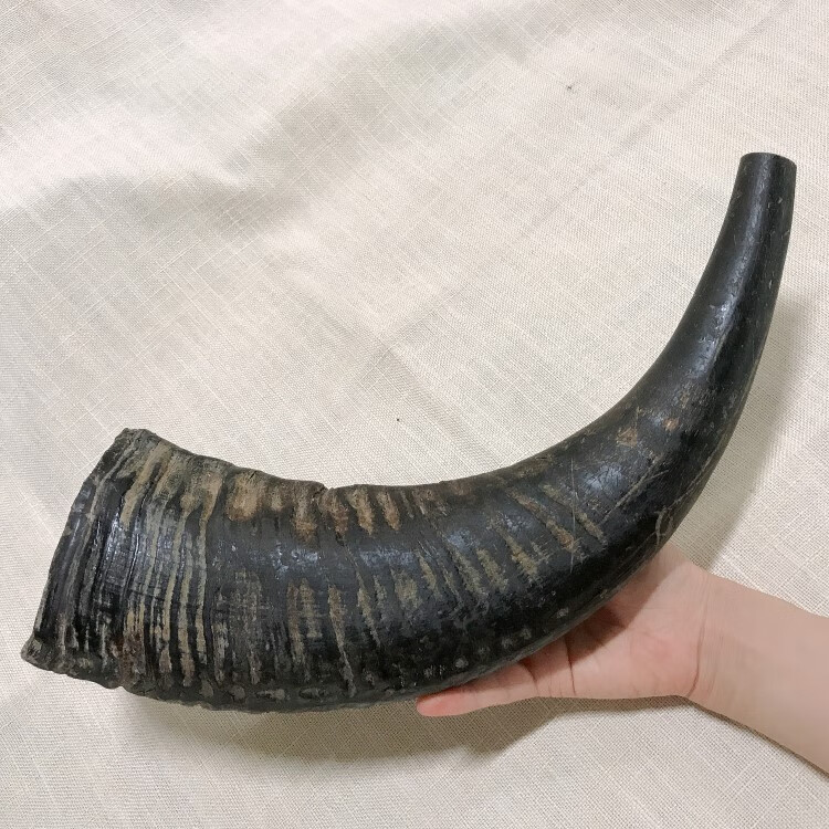 牧思 天然打磨黑白牦牛角号角水牛号角铜喇叭法器民族乐器法器 牛角