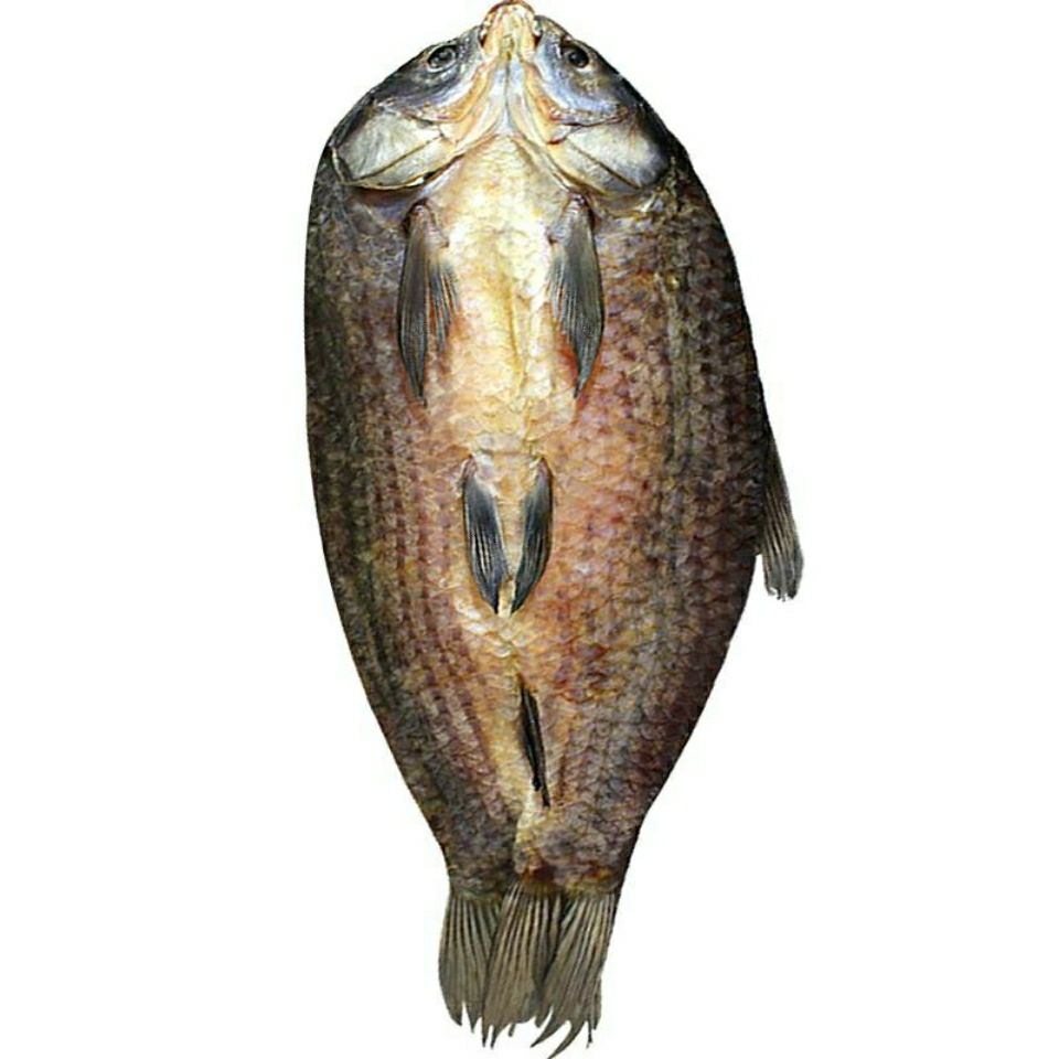 嘉兴乌青鱼干 散装乌青鱼干 多规格 腌制农家螺蛳青鱼干咸鱼干 整条