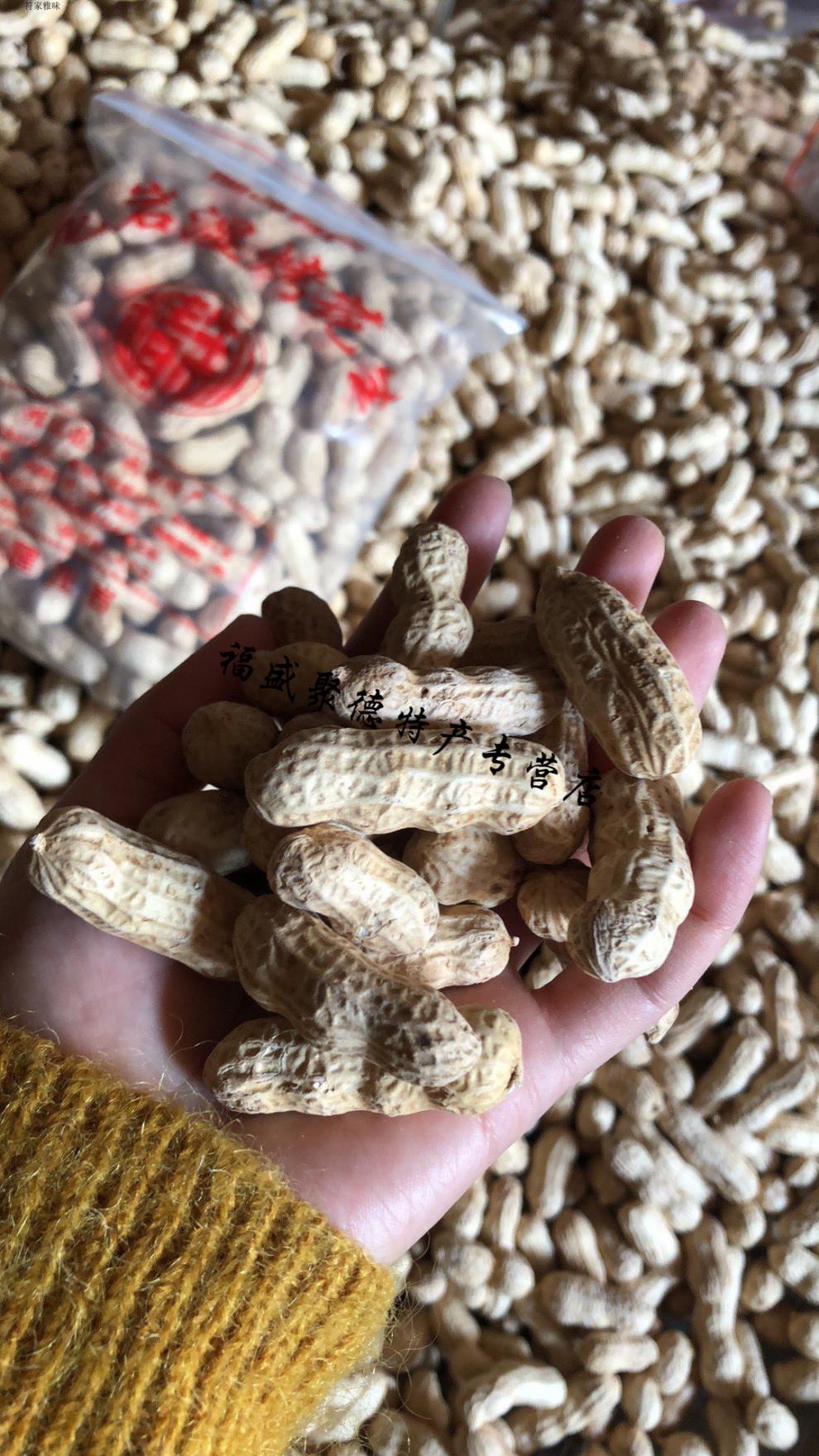 福建闽西特产龙岩湿烤紫衣花生2020年新货多籽五香硬脆3斤5斤紫衣湿烤