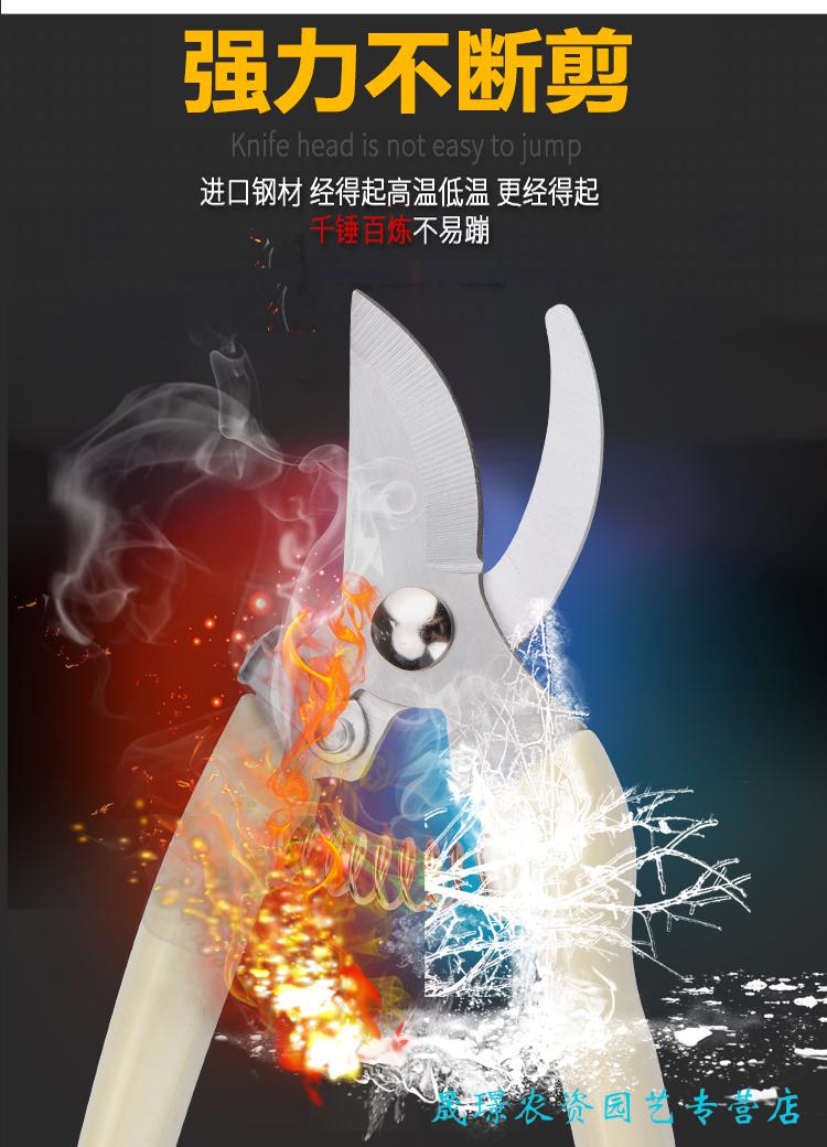 6a4ff9bb356f8468.jpg