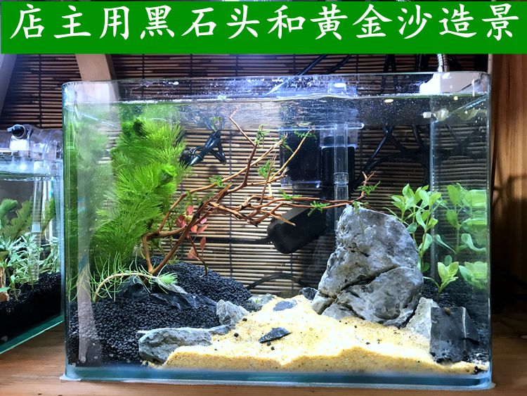 天然彩沙粉沙綠沙子白石英砂水晶沙族魚缸造景多肉鋪面5斤享動58毫米