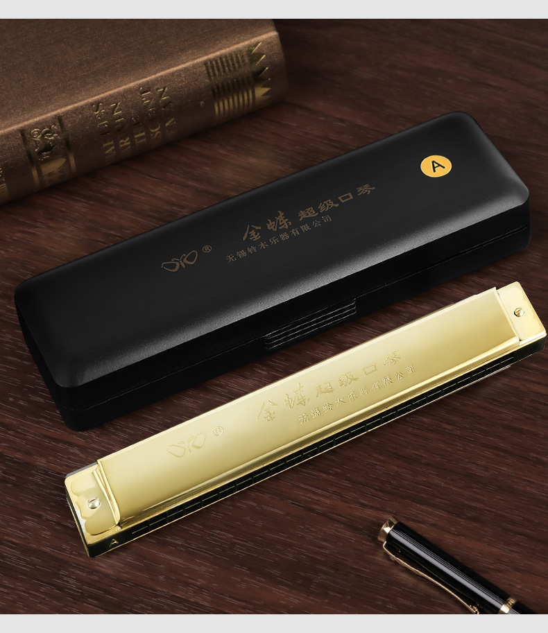 金蝶口琴 无锡铃木24孔复音 演奏琴 音色调全 超级g调金色