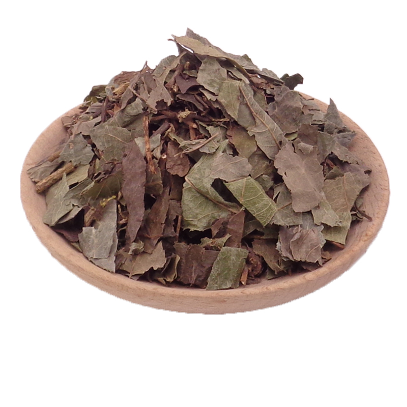 同仁堂中药材平地木500克 新鲜干货矮地茶 叶下红不出林 叶底珠【图片