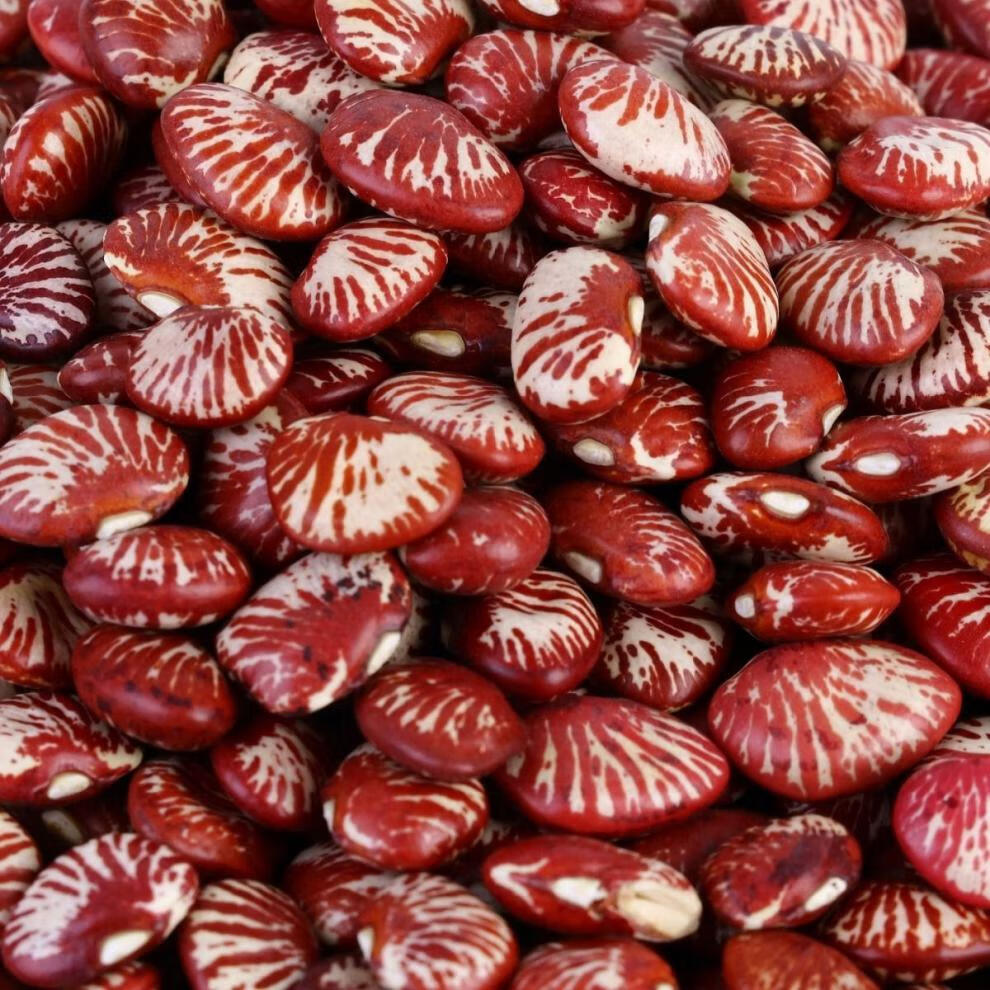 斑马豆5斤 新小肾豆 花豆红豆菜豆荷包豆饭豆花芸豆杂粮红芸豆1斤
