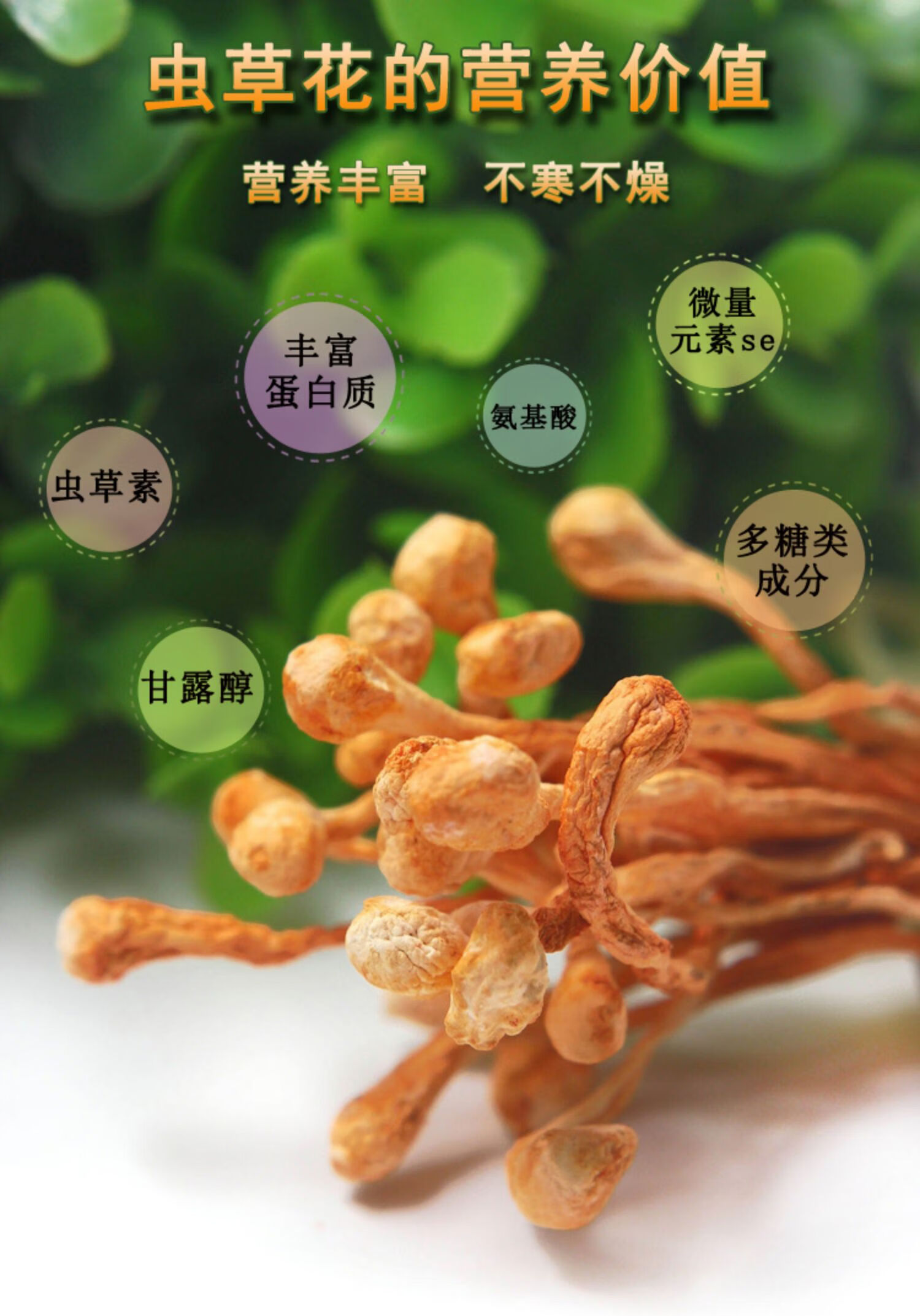 虫草花干货特级野生虫草花旗舰店蛹金虫草菇干虫草花煲汤料过年礼品走