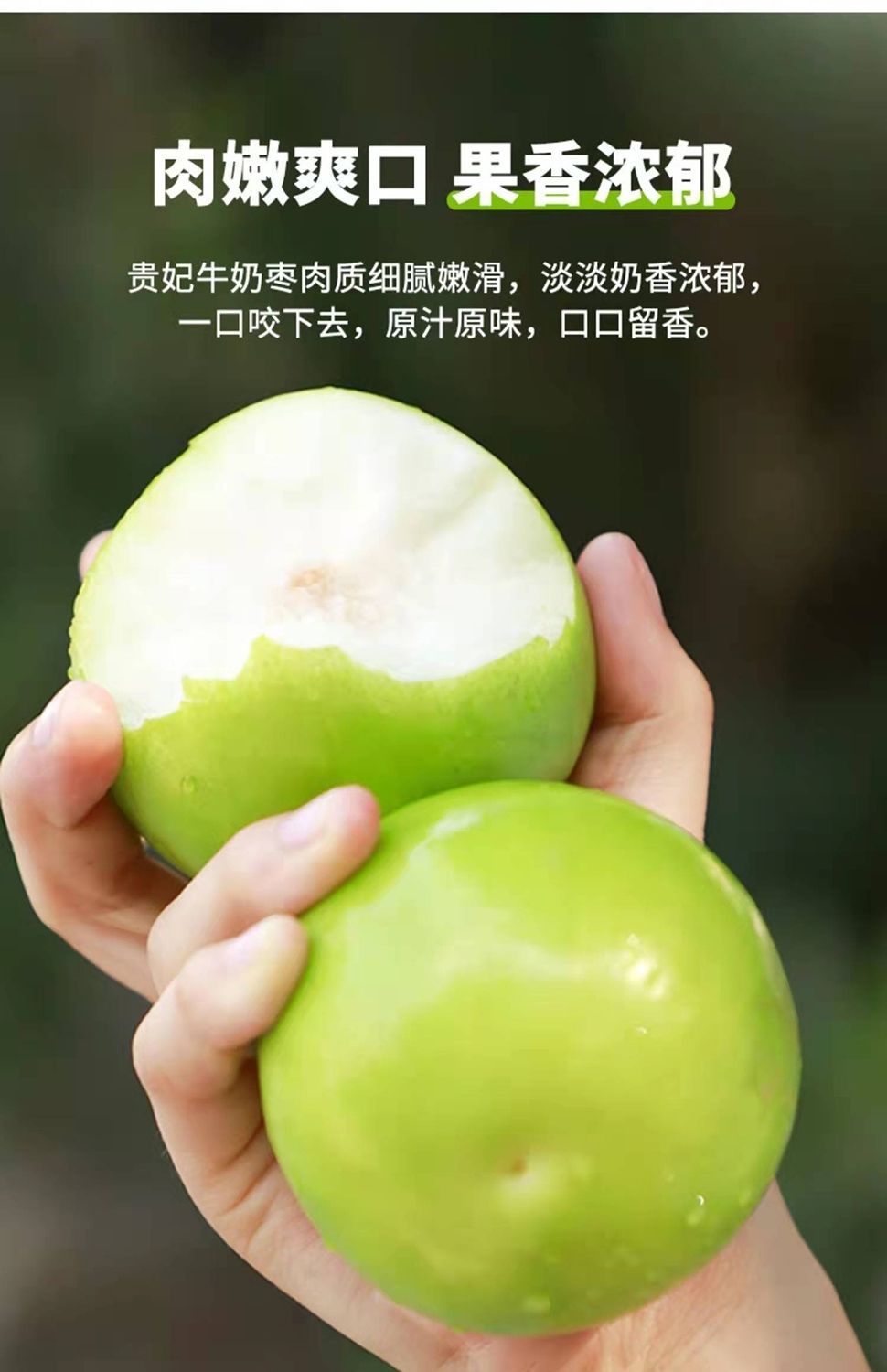 冬季水果福建牛奶大青枣现摘苹果枣脆甜孕妇特级大贵妃枣整箱脆甜