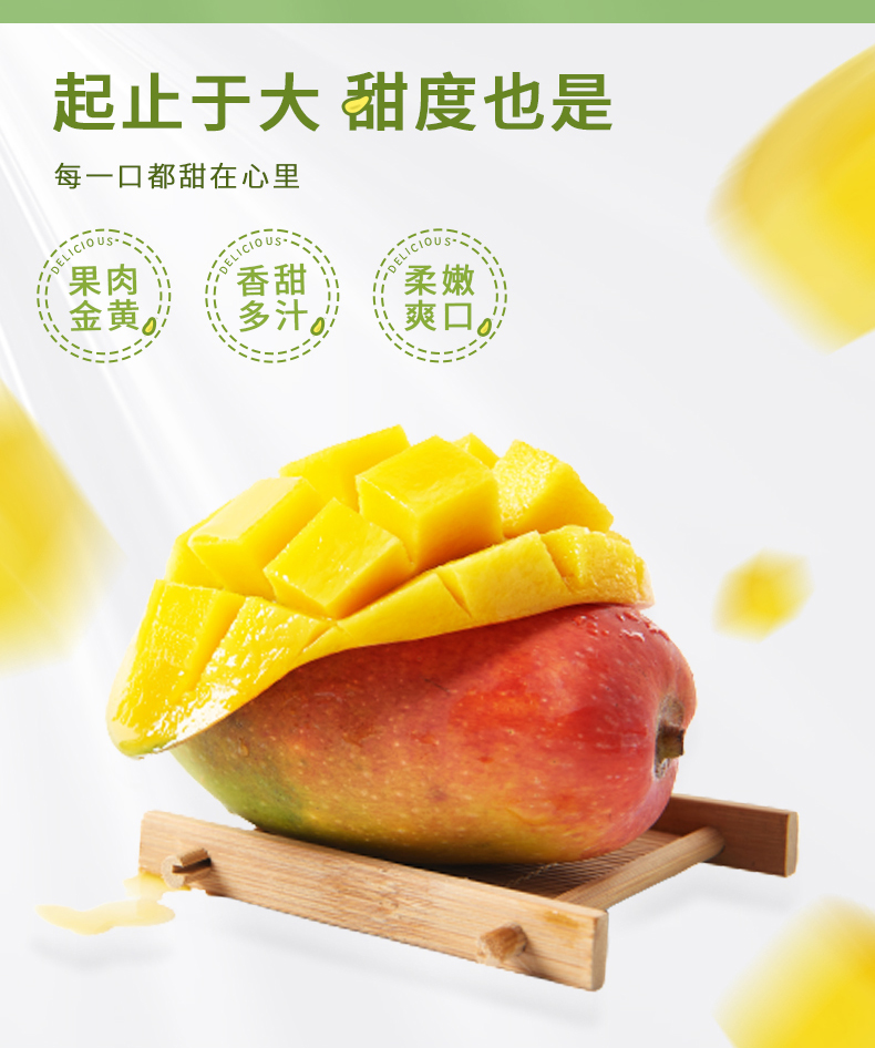 海南树上熟贵妃芒顺丰空运多地次日达新鲜时令水果现