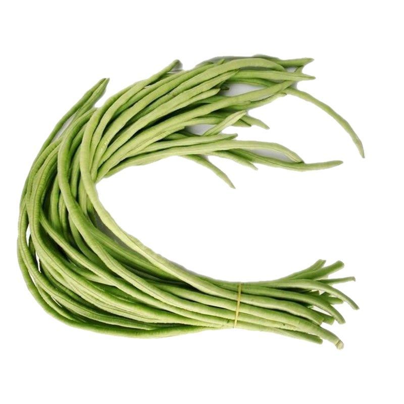 青樱红荔新鲜长豆角豇豆批发泡沫箱加冰嫩豆角菜豆现摘现发蔬菜1斤