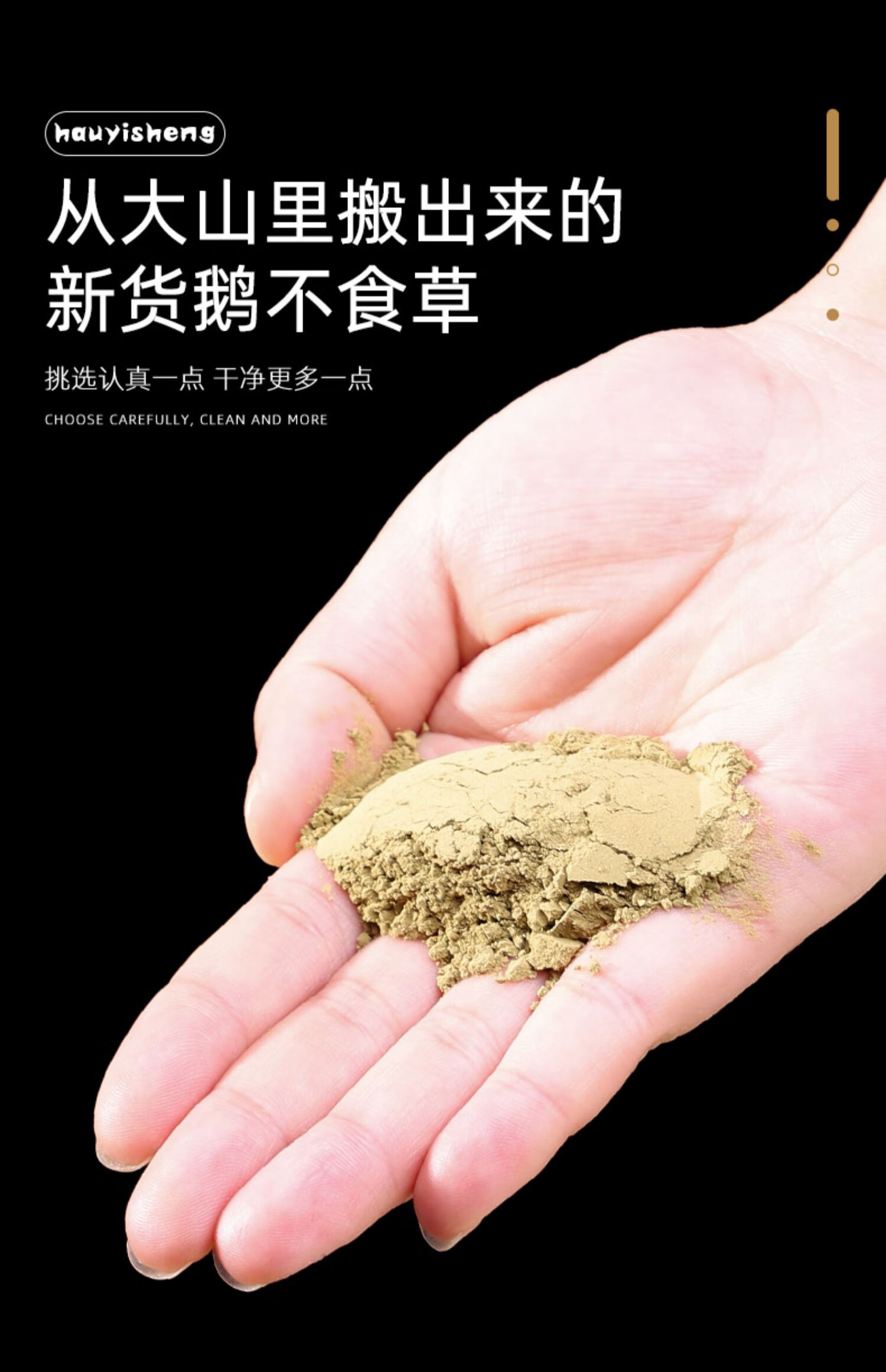 鹅不食草粉新鲜鹅不食草干粉末非野生特级中药材店铺药材大全【图片