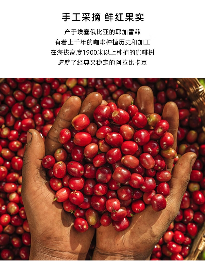 冬季上新年货咖啡豆进口精品咖啡水洗耶加雪菲咖啡豆埃塞俄比亚豆鲜烘
