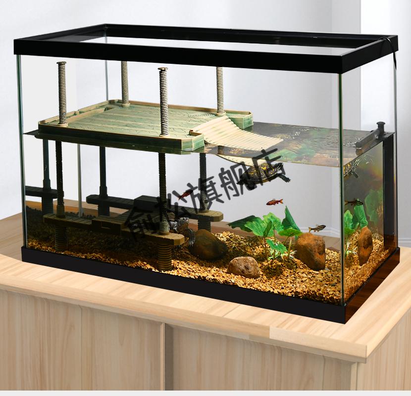 龟鱼混养缸设计图图片