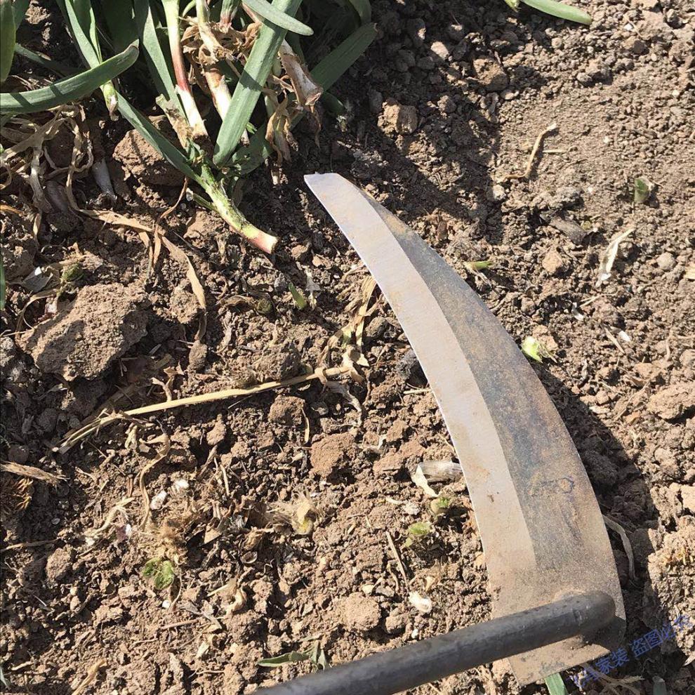 割韭菜小镰刀小号割刀子除草月牙锄迷你家用工具挖野菜蔬优惠拍2月牙