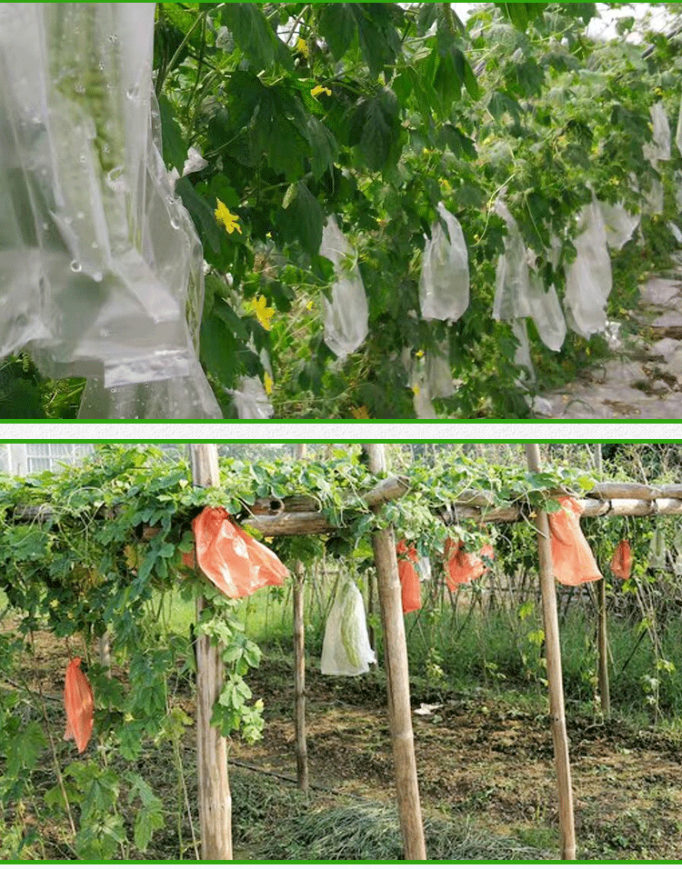 防虫袋胶套袋瓜果丝瓜节瓜苦瓜防果蝇防鸟袋纸质葡萄水果套袋定制胶套