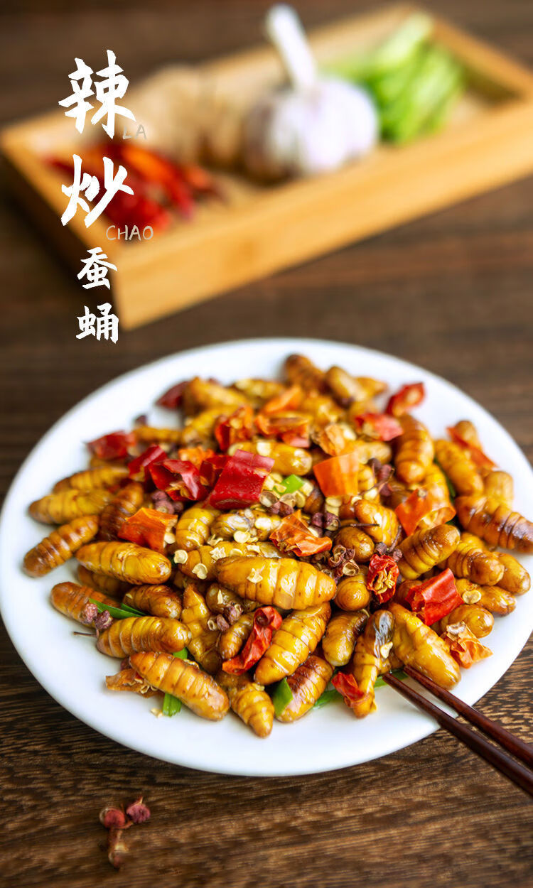 山东蚕蛹鲜活新鲜金丝蛹高蛋白茧蛹山东土特产桑蚕蛹蝉蛹正宗山东金丝