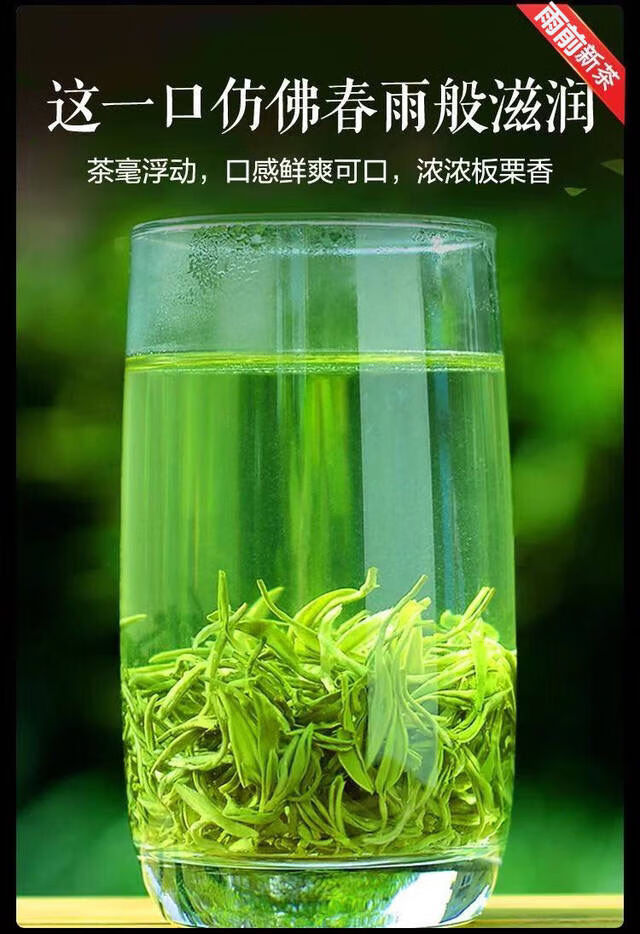 贵州都匀毛尖2021年新茶叶日照绿茶雨前毛峰云雾春茶浓香500g散装500