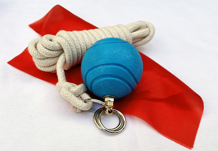 【品质好物】九节鞭练习绳 奇门软九节鞭训练绳单双弹力实心儿童男女