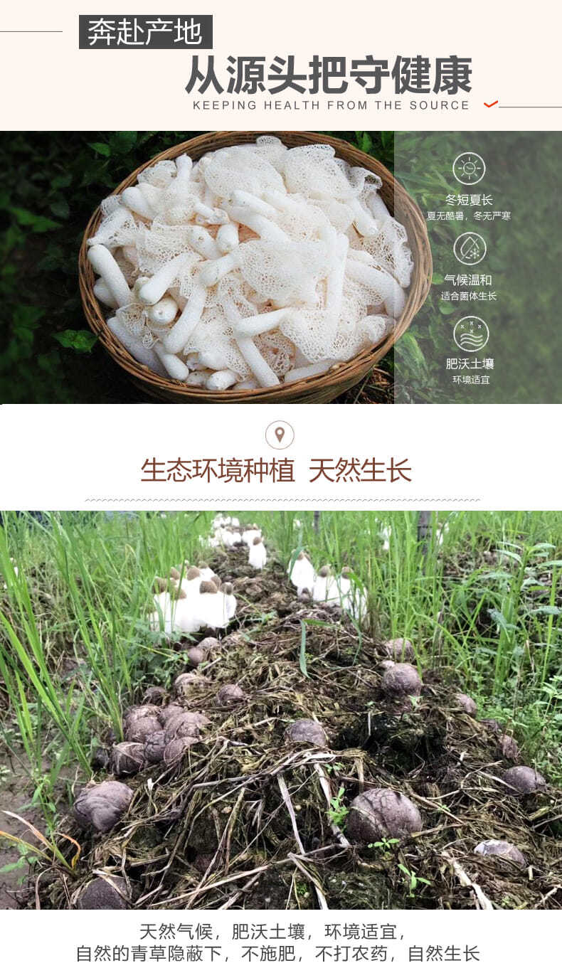 干货250g古田竹笙类新鲜长无硫竹孙足荪干竹荪菇煲汤 250g【图片 价格