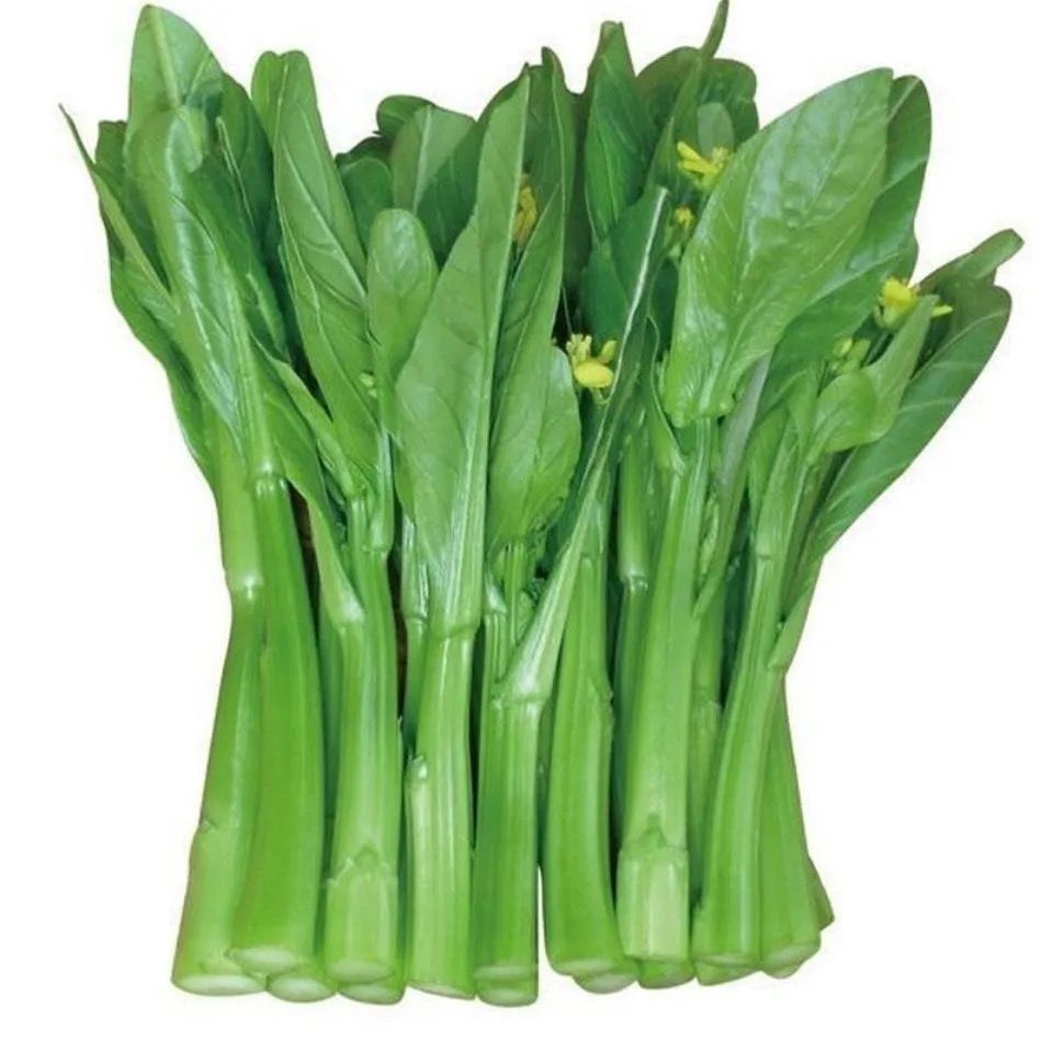 花果山 70天油青甜菜心种子阳台盆栽夏秋四季播种种籽菜心菜苔农家蔬