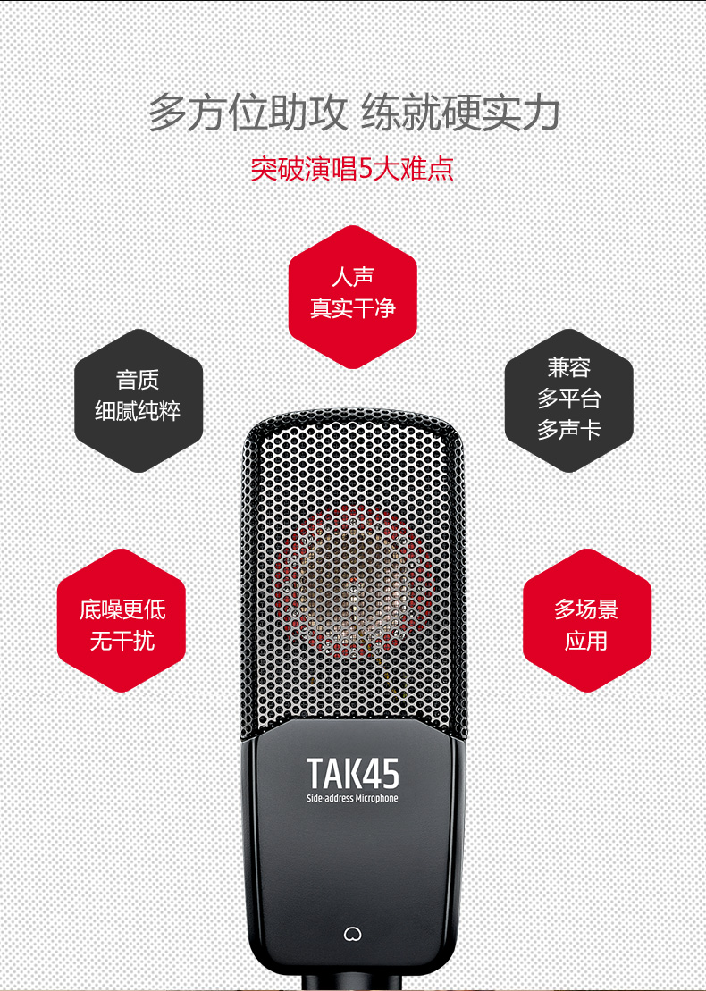 得胜（TAKSTAR）TAK45麦克风专业录音棚定制电台话筒唱歌声卡手机电脑通用快手全民k歌套装 官方标配【不带声卡】