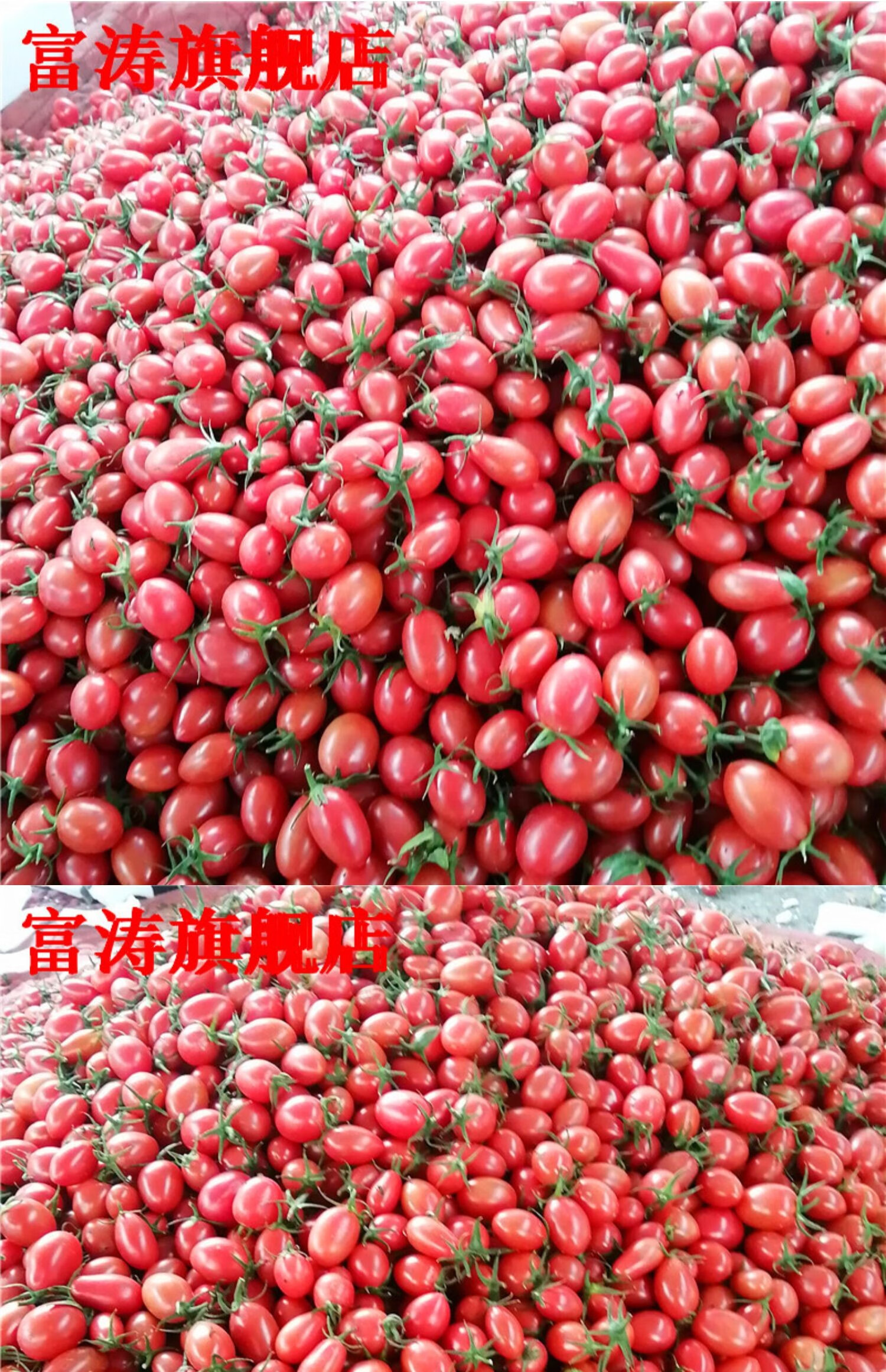 媚调 山东千禧圣女果5斤 农家特产千禧果酸甜可口樱桃小西红柿番茄