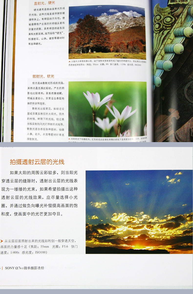Sony r微单摄影圣经sony ii微单摄影宝典索尼微单摄影教程索尼摄影秘诀 摘要书评试读 京东图书