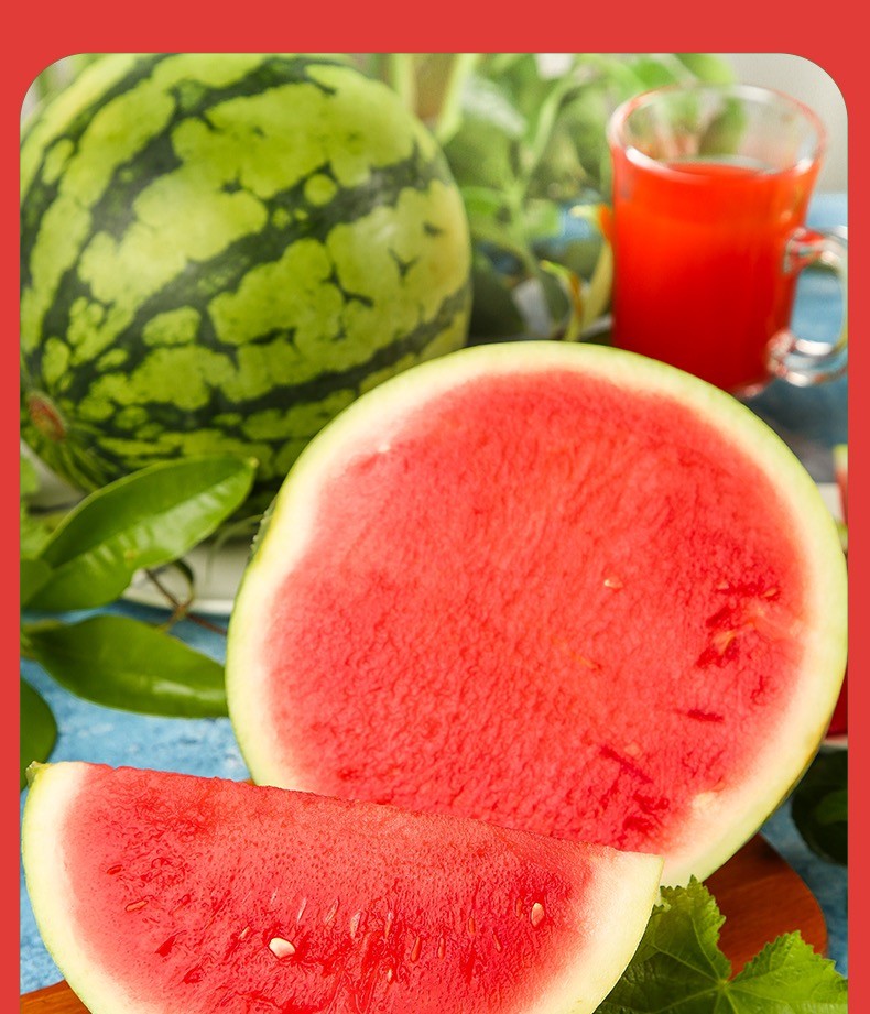 沙瓤无籽大西瓜 超甜现摘8424麒麟红壤西瓜当季多汁水果西瓜 1个(单果