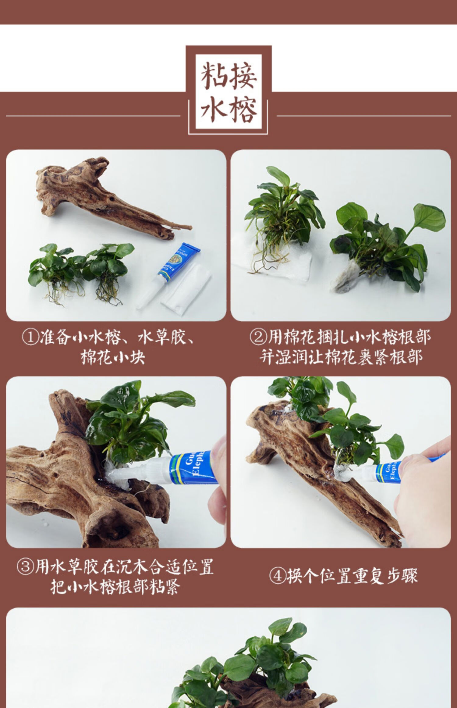 鱼缸沉木造景枯木头大小号树栖根杜鹃根木水草缸莫斯树森林微景观西瓜