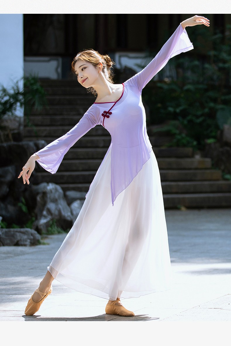 菲梵舞后中国舞民族古典舞蹈练功服女成人身韵纱衣网纱飘逸上衣阔腿裤