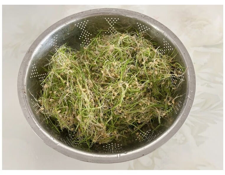 江西特产手工正宗麦芽糖米糖叮叮糖纯正饴糖糖果怀旧零食敲着吃 试吃