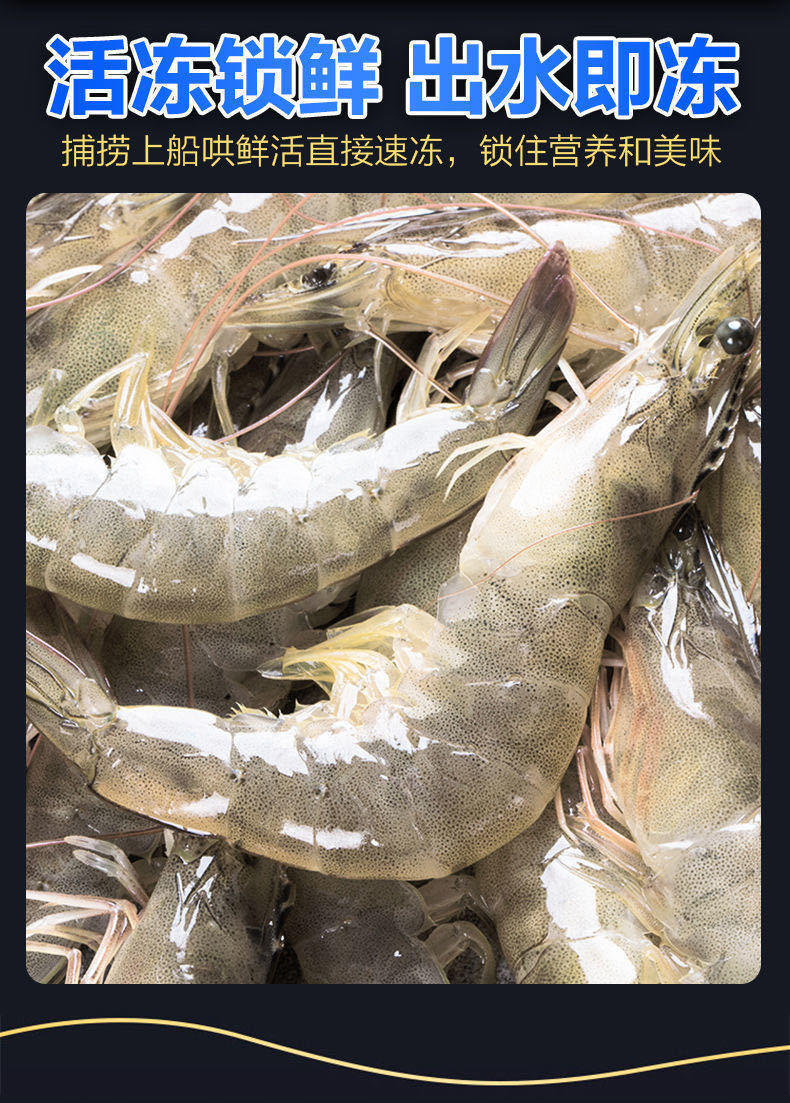 青岛大虾超大海虾新鲜海捕大虾海鲜非基围虾鲜活冷冻白虾对虾大虾华海