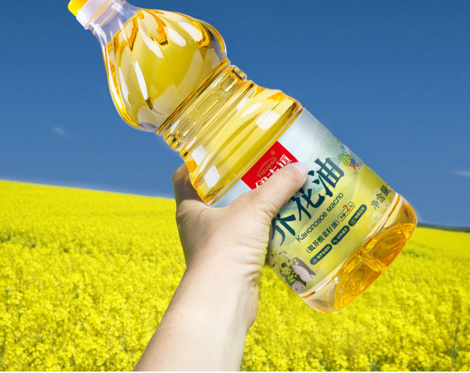 8l菜籽油低芥酸进口芥花籽油少油盐炒拌菜食用油【图片 价格 品牌