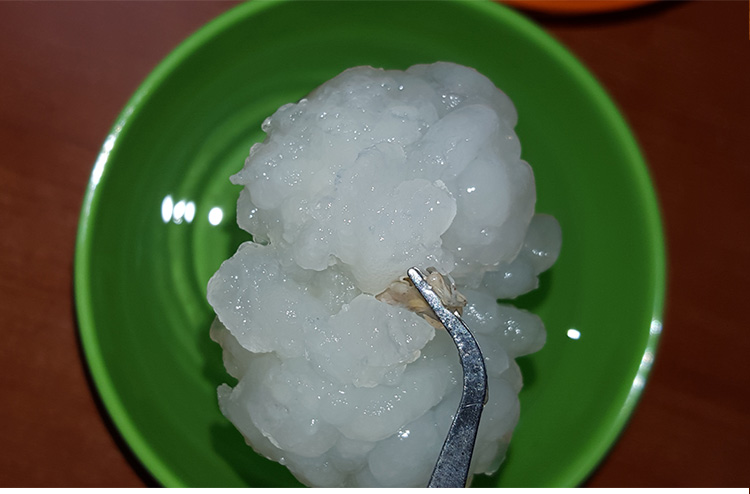 泡发150倍7年老蛙长白山雪蛤油林蛙油蛤蟆油雪哈膏素干货新鲜女性滋补