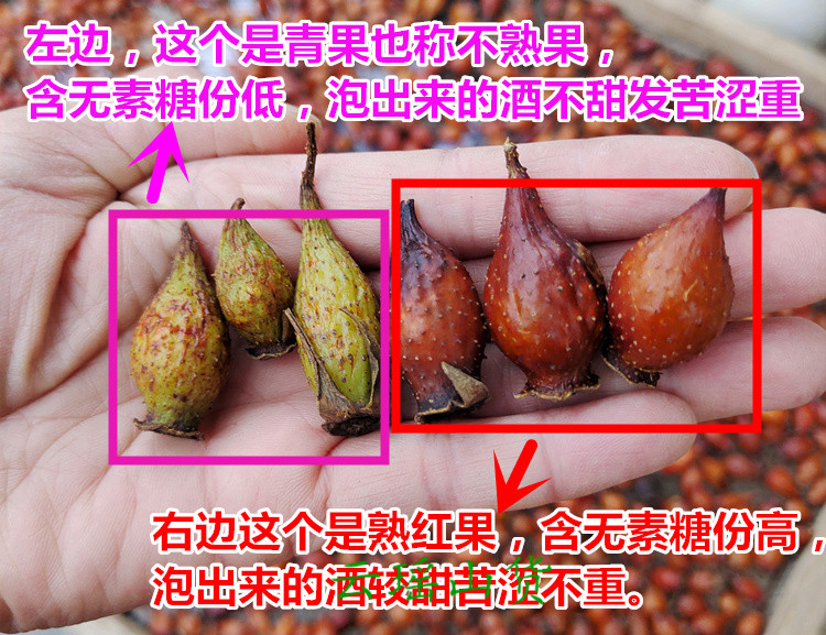 金樱子野生新鲜干货金英子刺梨子泡酒材料中药材男性蒸晒500g克蒸晒好