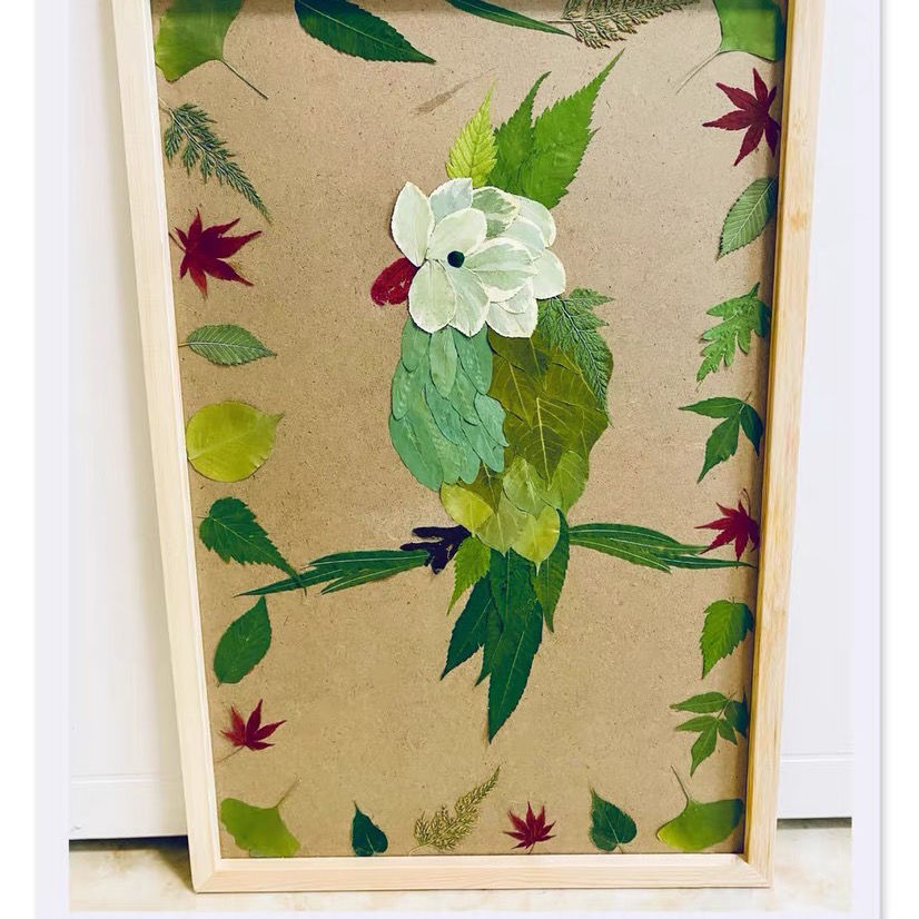 树叶粘贴画手工制作贴画儿童diy干树叶手工材料sn213615种以上叶子30