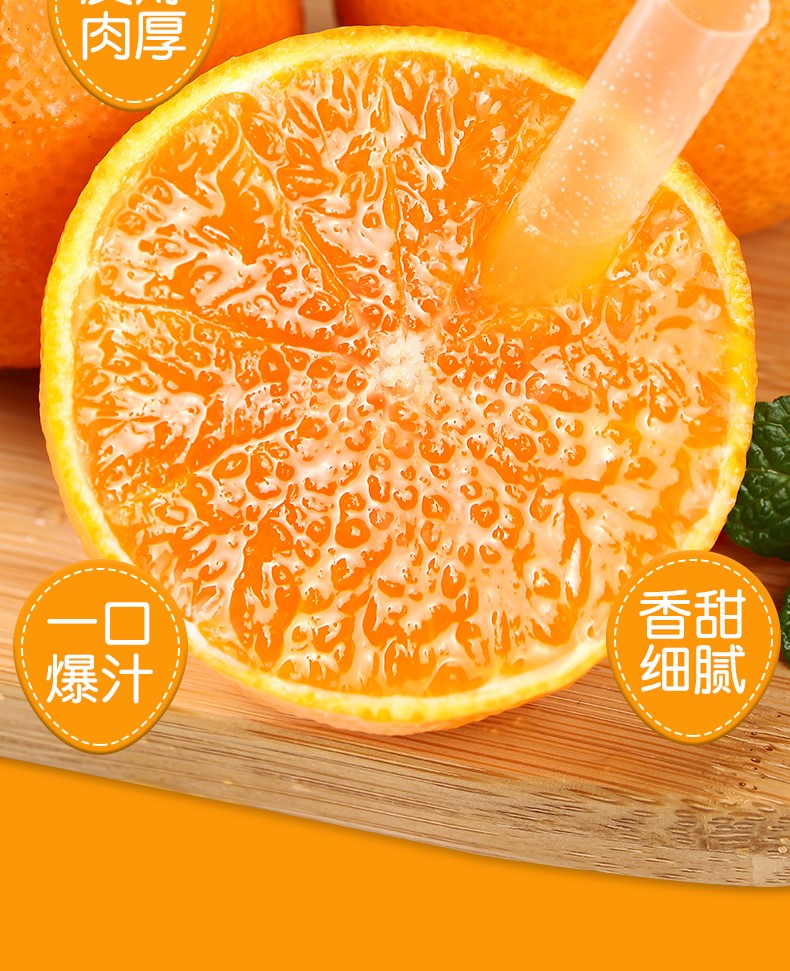 爱媛（定制改）_03.jpg
