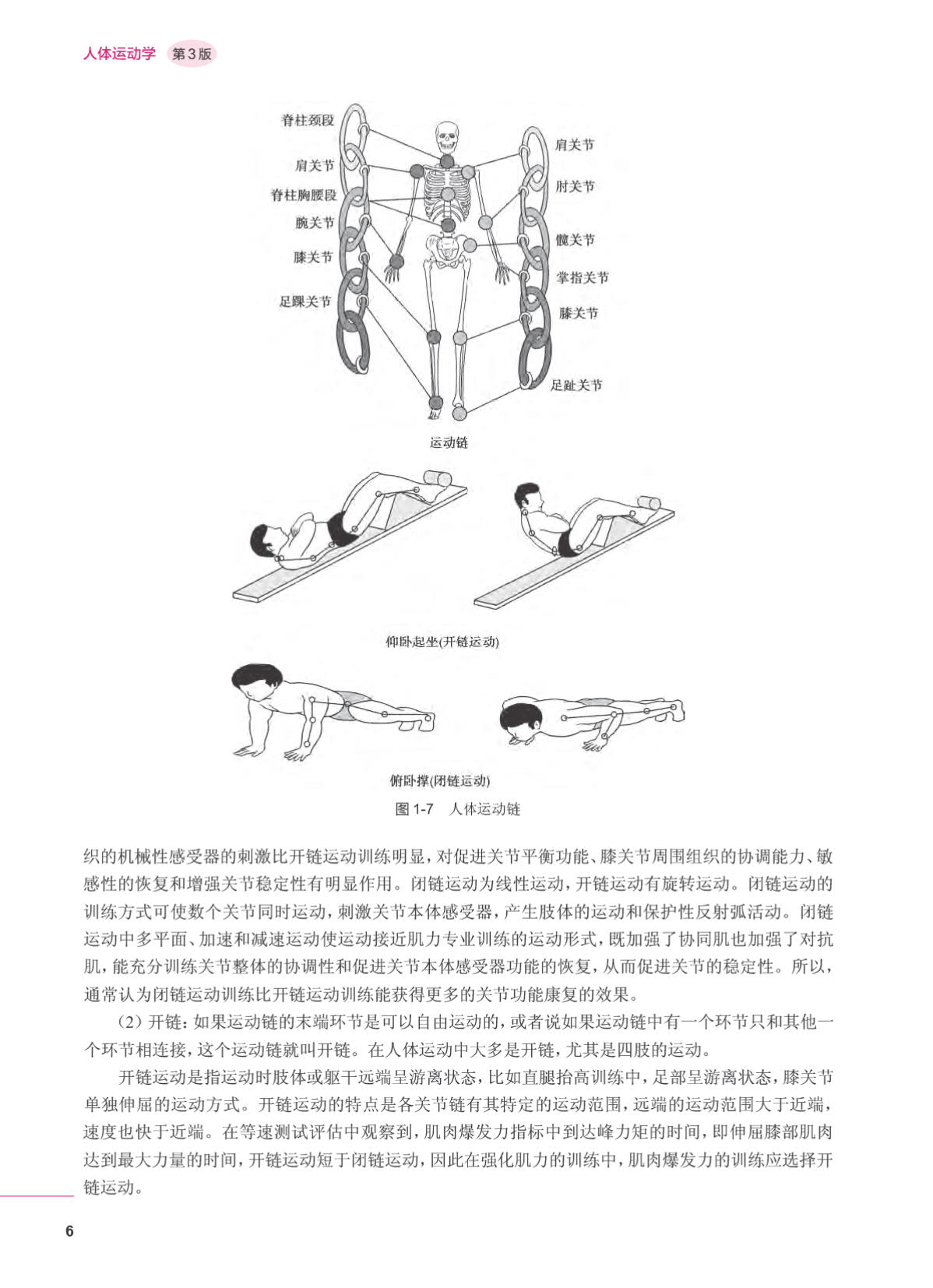 康复人体运动学图片