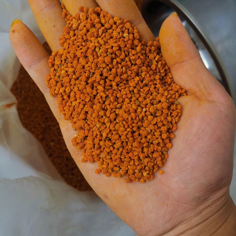 喂蜂茶花花粉茶花粉养蜂喂蜂花粉蜜蜂天然蜂用饲料五斤装喂蜂茶花花粉