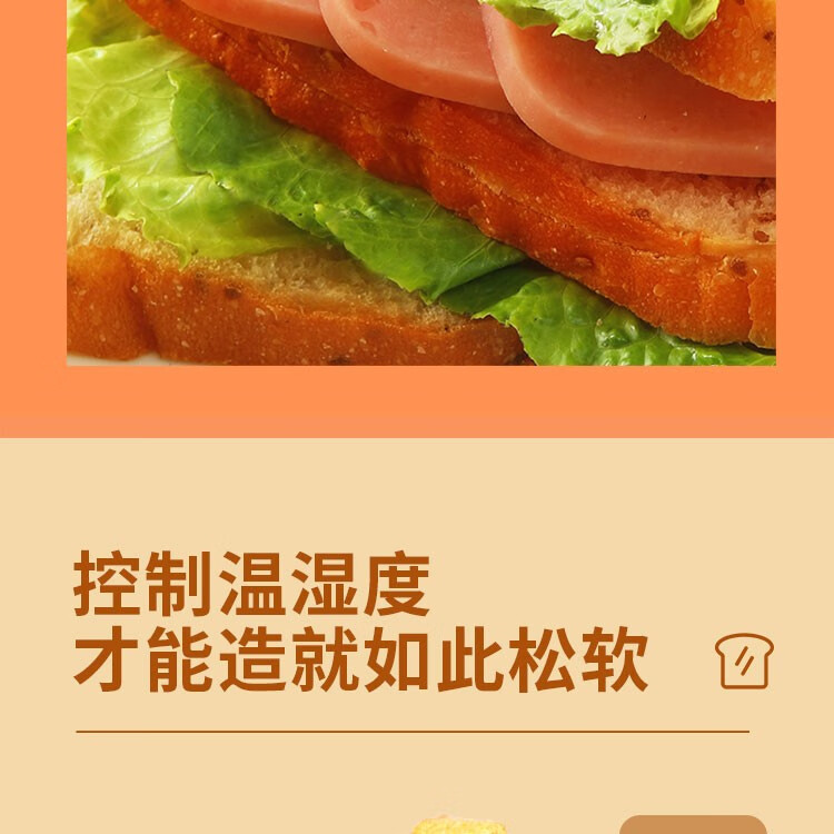 味滋源奇亚籽全麦吐司软式面包 懒人速零食休闲早餐500g1箱食早餐 休闲零食 500g/箱 1箱详情图片6