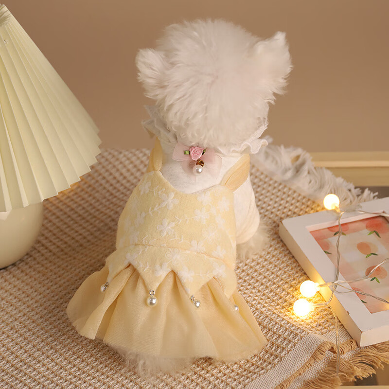 猫衣服冬保暖布偶猫 猫咪衣服秋冬小猫幼猫春秋银渐层英短冬季裙子