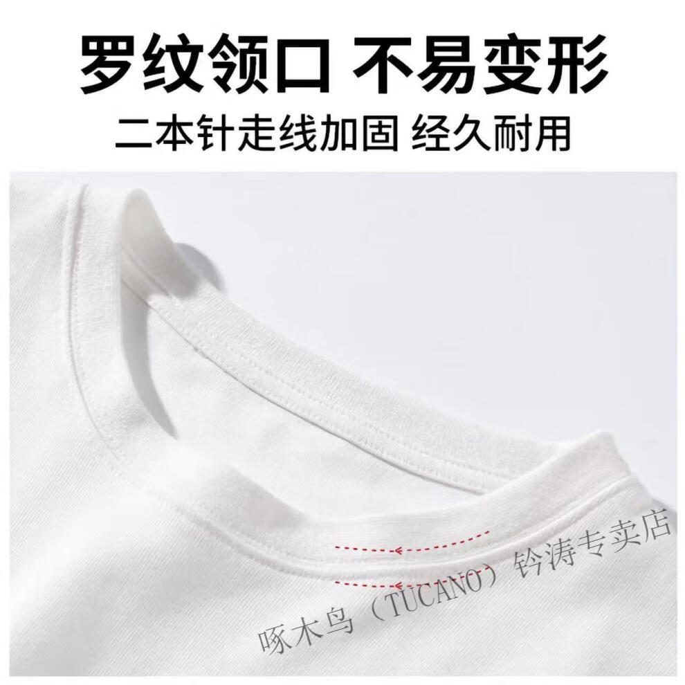 d13e905b3b12e490.jpg