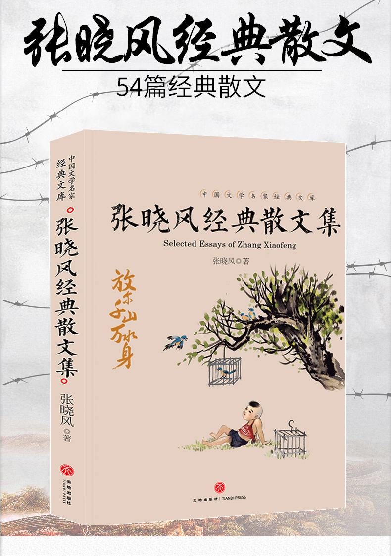 张晓风散文精选54篇散文集经典作品美文系列送你一个字 雨天的书 母的