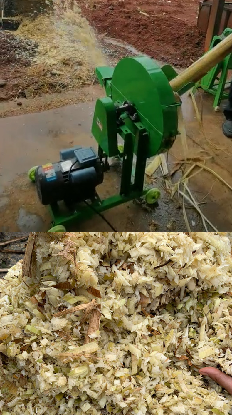 切芭蕉机香蕉树切碎机家用小型牛羊养殖铡草机香蕉杆芭蕉树粉碎机芭蕉
