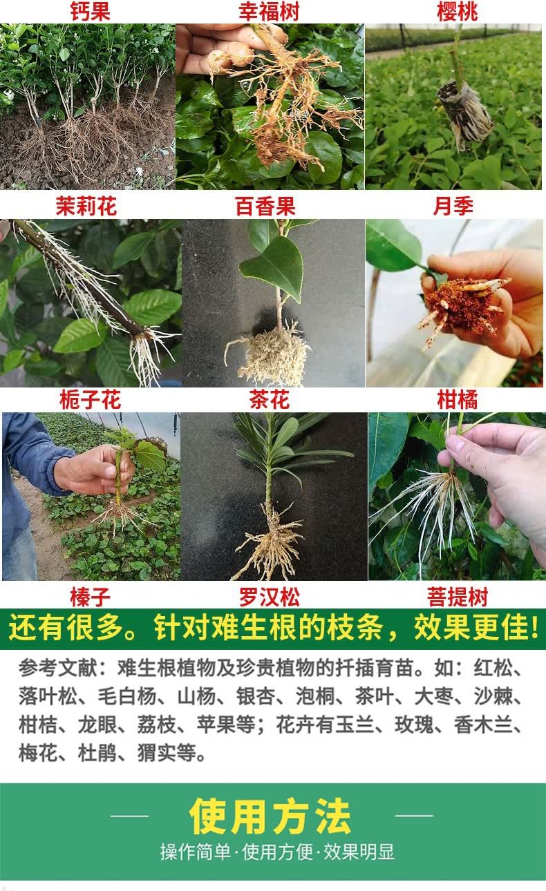 生根粉扦插用发根植物通用月季插枝条专用育苗,生根水 苗木扦插快繁母