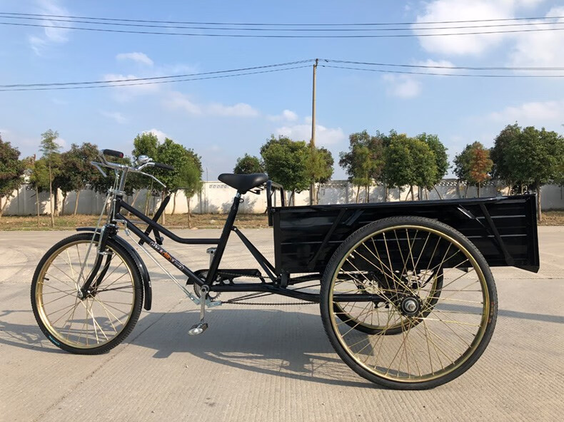 四朵云 人力三轮车 三轮自行车成人 脚蹬三轮车拉货南洋1.