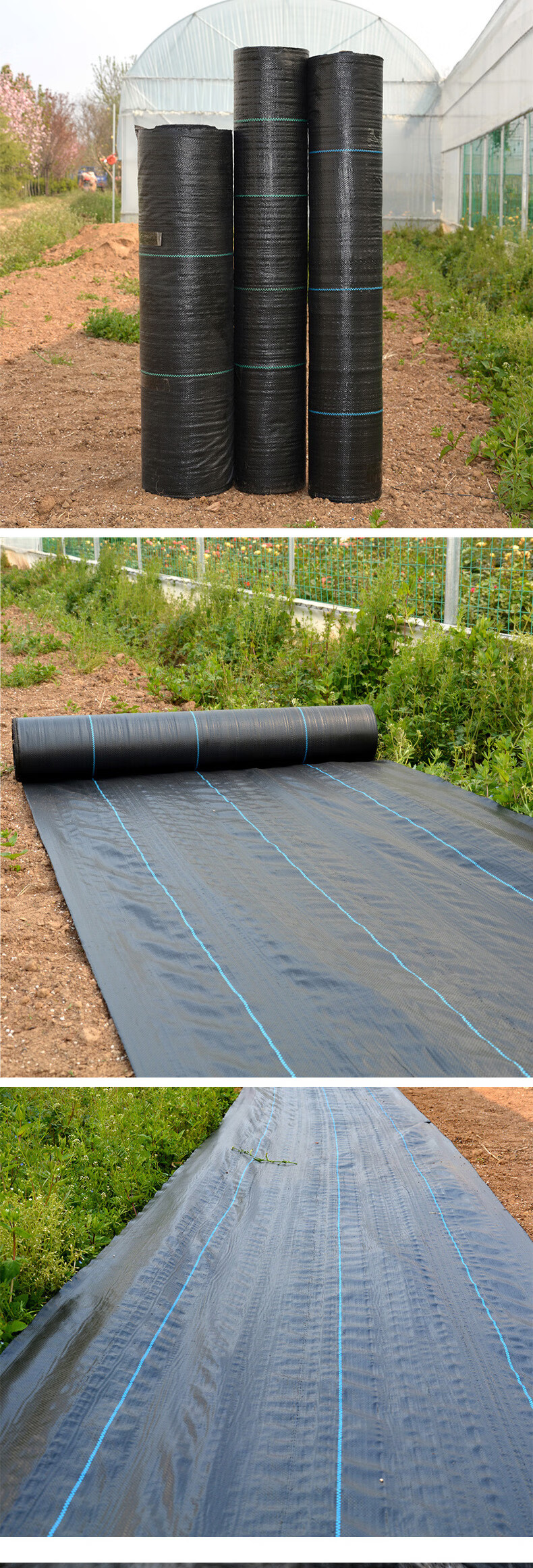 心头肉新型防草布地布耐用园艺地布除草布盖草抑草地膜透气保湿果树