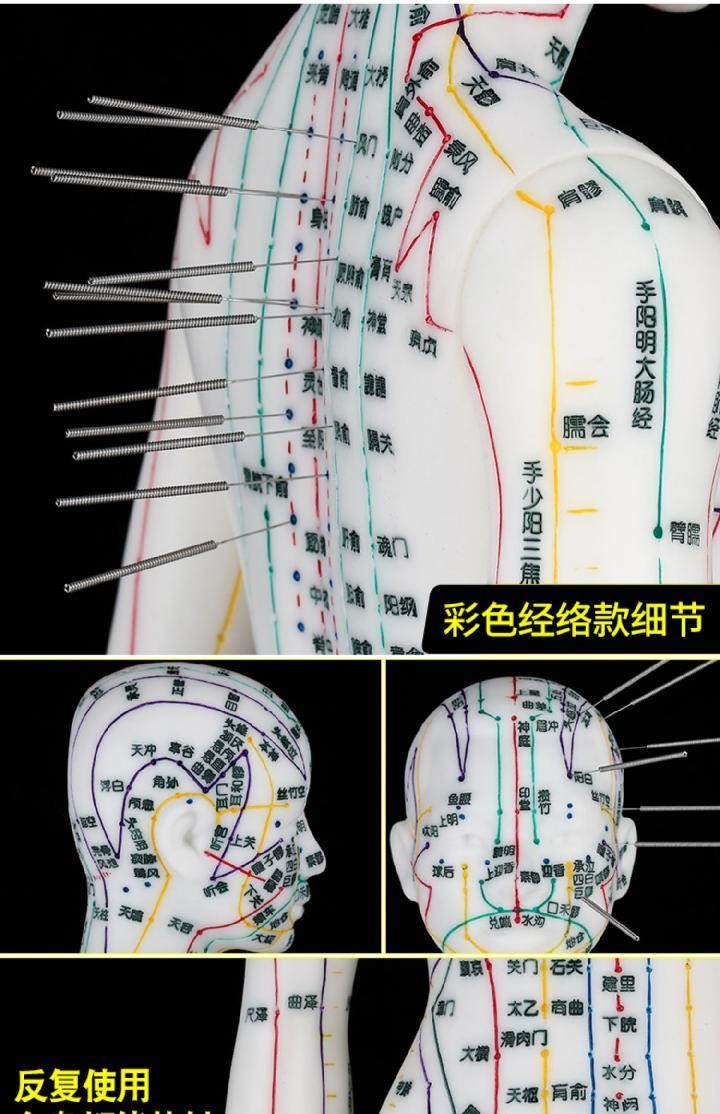 针灸人体各部位尺寸图图片