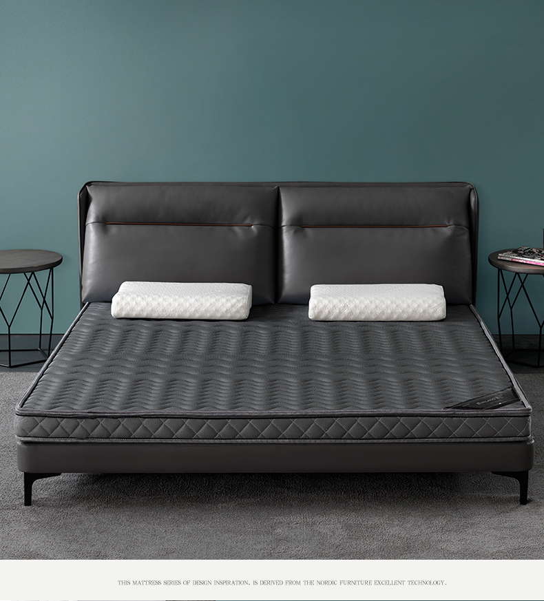 冰兰 天然3e椰棕床垫棕垫薄偏硬棕榈1.8m1.