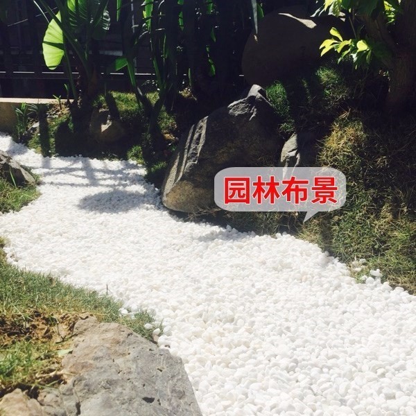 颢天 白石子纯白色鹅卵石鹅卵石白色小石头椭圆石头铺地装饰鱼缸配饰