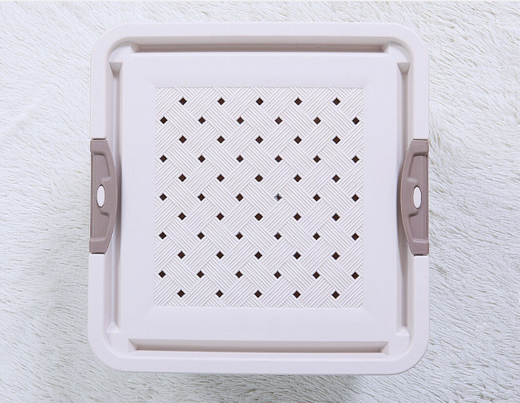 仓鼠运输盒抖音网红萌宠同款家的小动物金丝熊运输盒透气外带笼快递箱